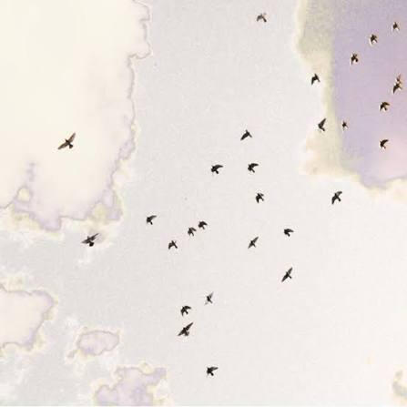 Birdsong - Hughie Hunter Engineered / Produced Mixed / Mastered